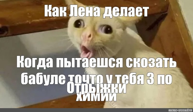 Кот Мем Мем