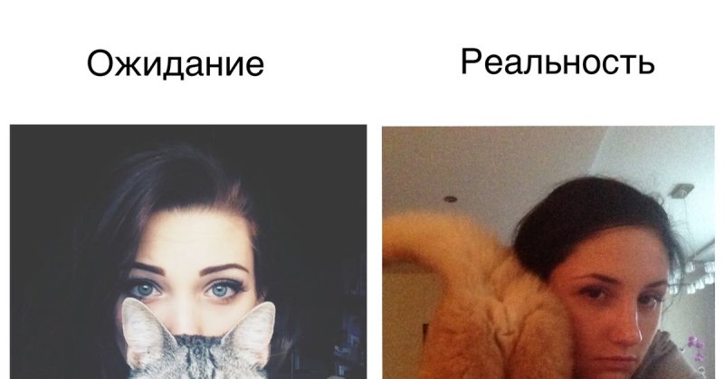 Каре ожидание и реальность