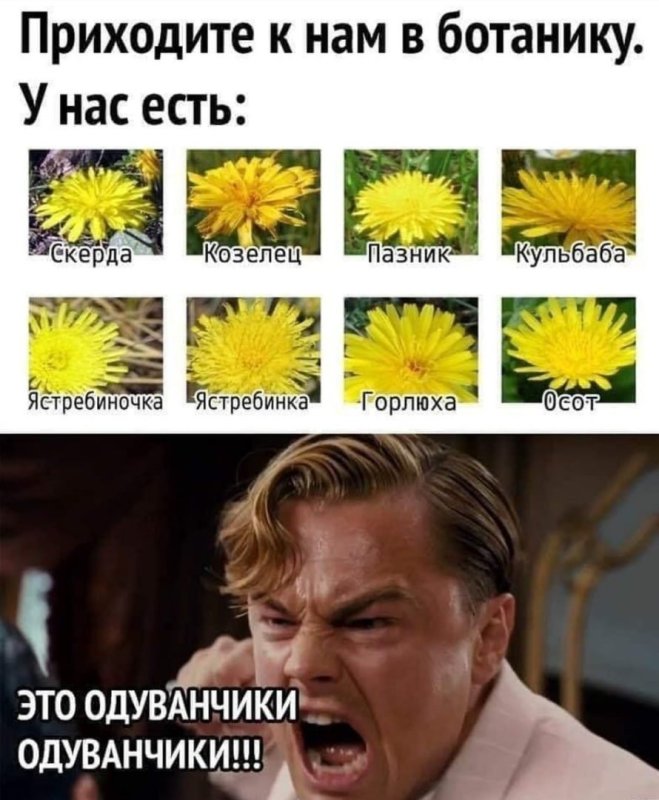 Шутки про ботанику