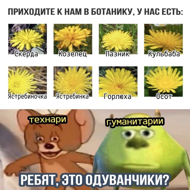 Смешной одуванчик