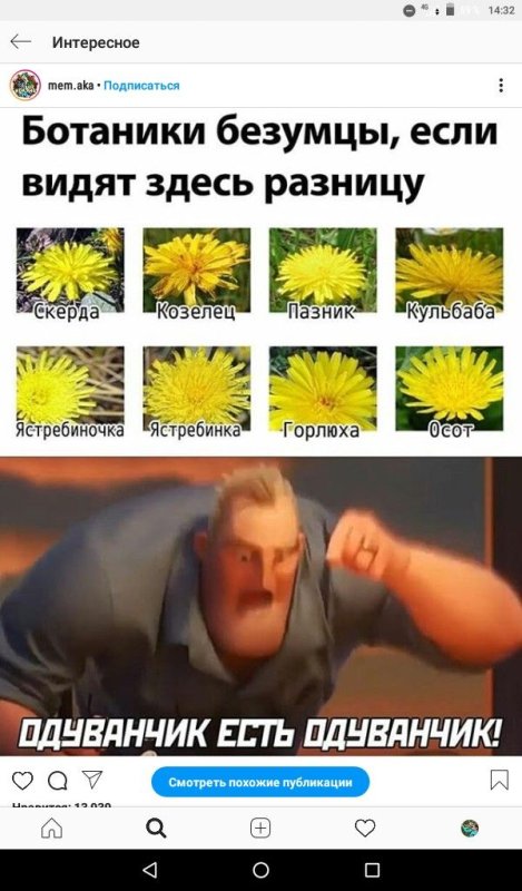 Шутки про одуванчики