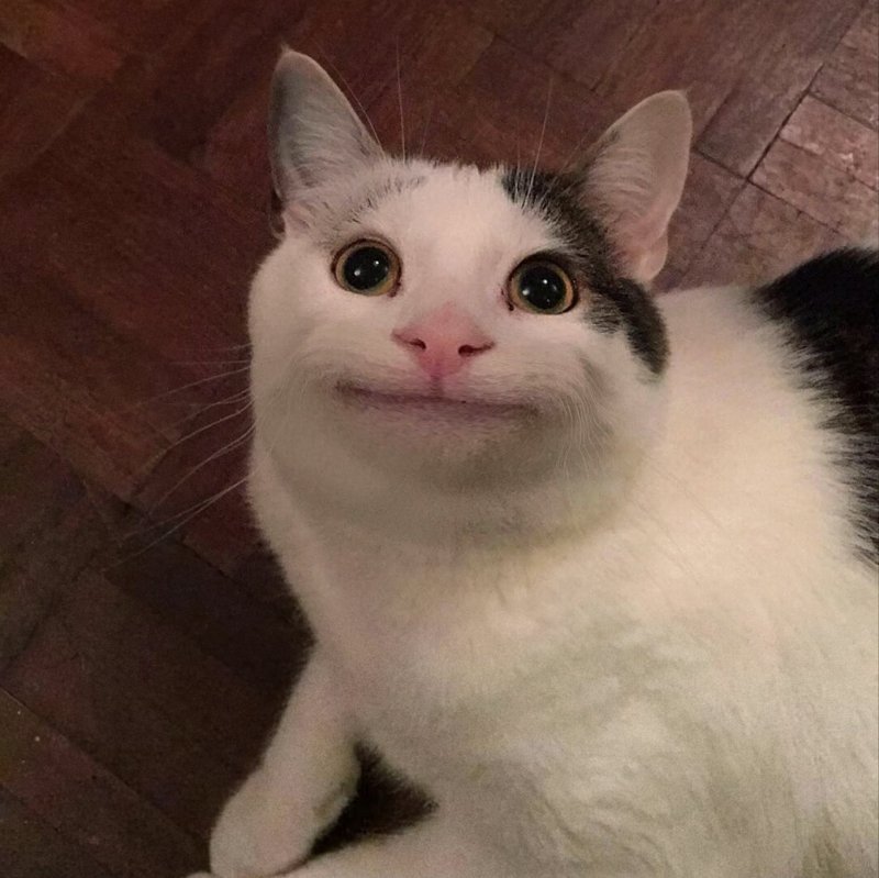 Кот улыбается Мем