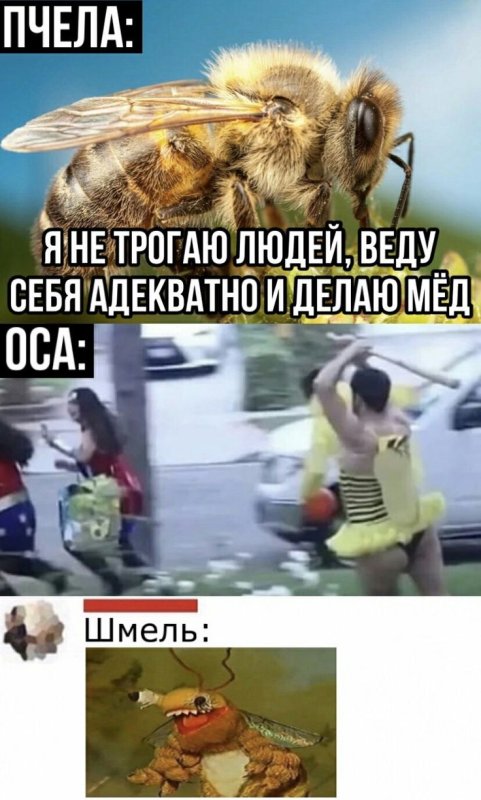 Смешная пчела Мем