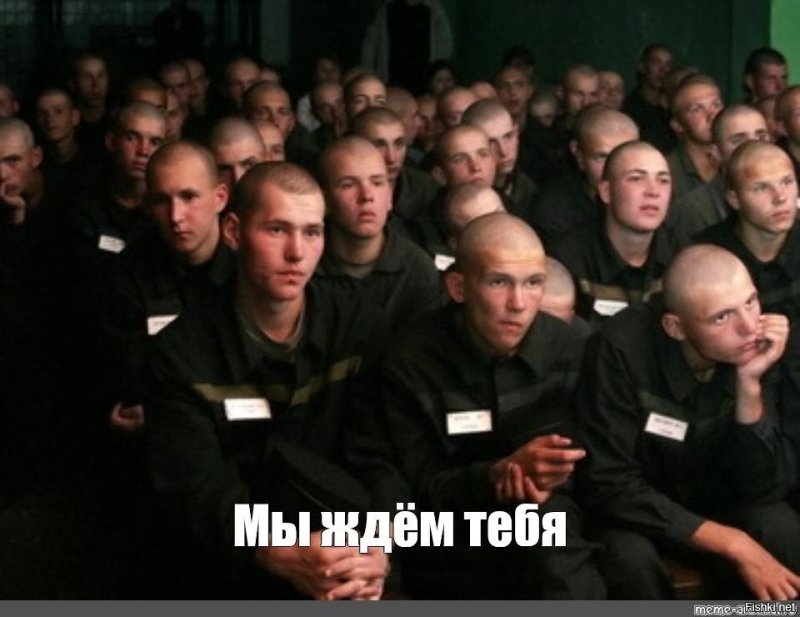 Мемы про зону