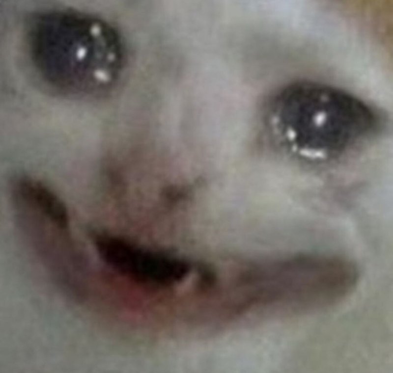 Кот плачет Мем