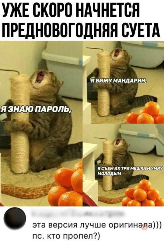 Я знаю пароль я вижу мандарин я съем их три