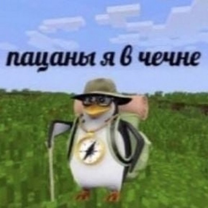 Пингвин я в Чечне