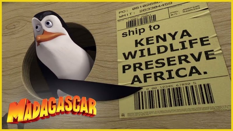 Пингвины из Мадагаскара Ковальский