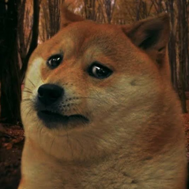 Грустная собака Мем