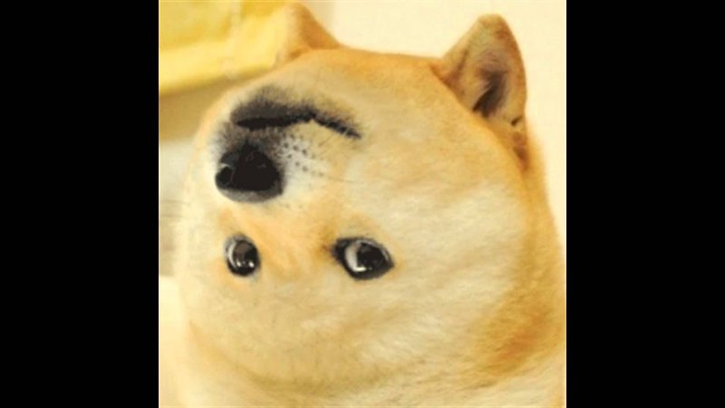 Doge мемы
