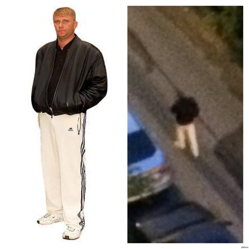 Свидетель из Фрязино