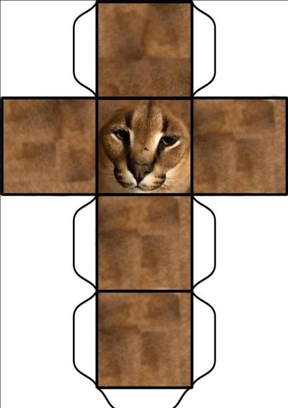 Развёртка котика