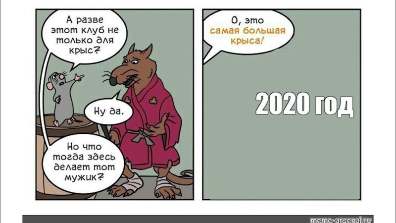 Самая большая крыса Мем