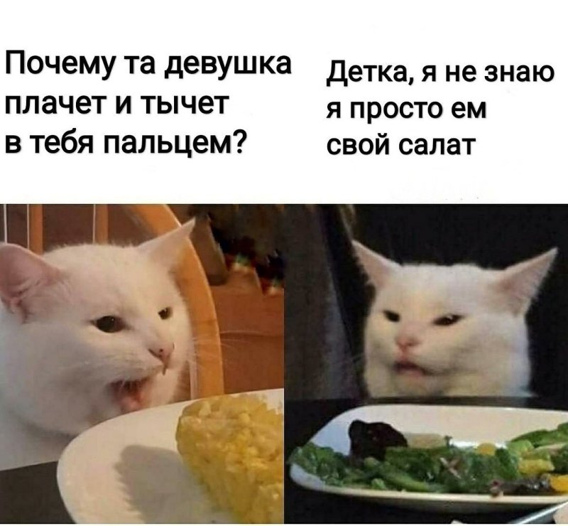 Кот Fresh Мем
