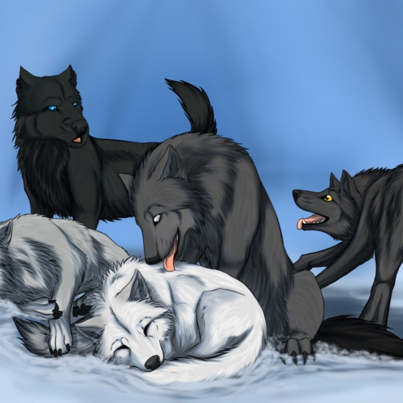 Волки аниме