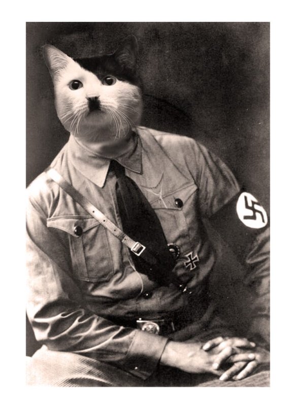 Кот Adolf Hitler