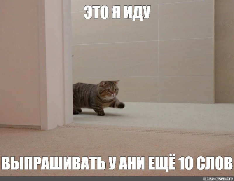 Кот пятница Мем