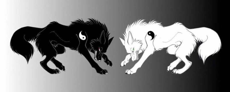 Коты Воители Инь Янь