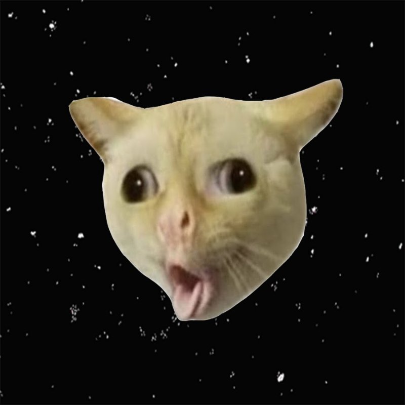 Кот с вытянутым ртом Мем