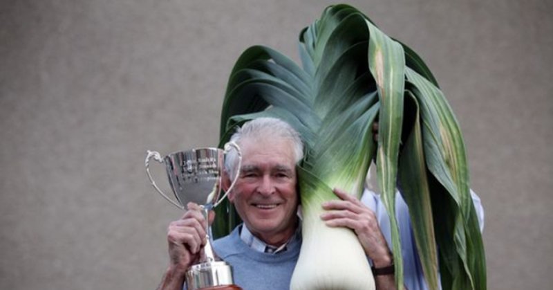 Дед с большой луковицей