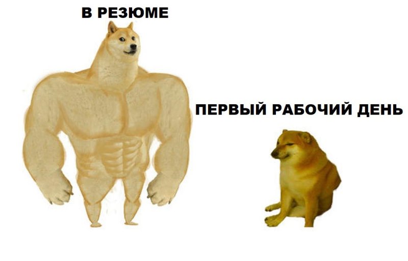 Пес качок Мем