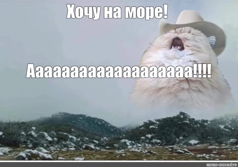 Кот орет в горах Мем