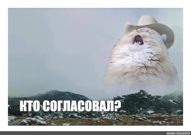 Кот орет в горах Мем
