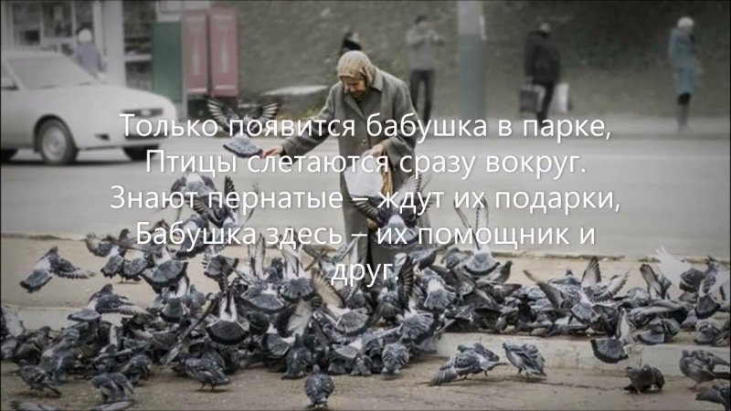 Стая голубей