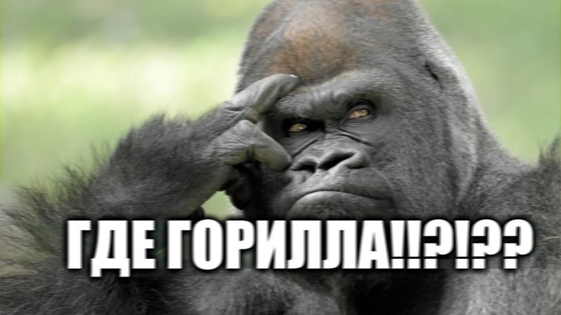 Мемы с гориллами с надписями