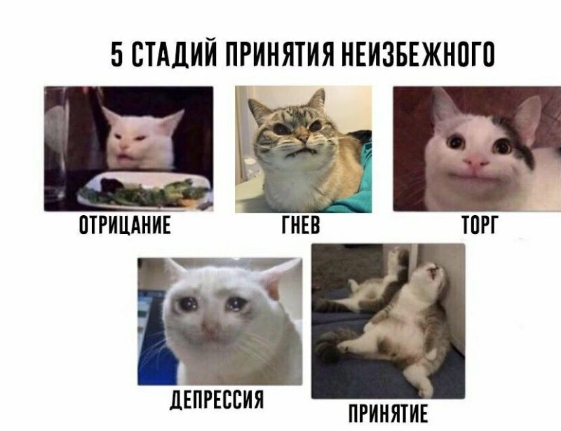 4 Стадии принятия