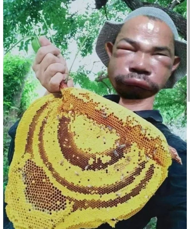 Китайский пчеловод