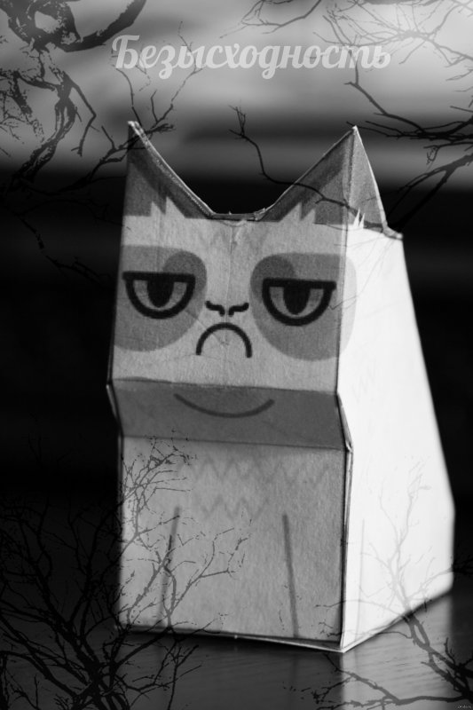 Депрессивный кот