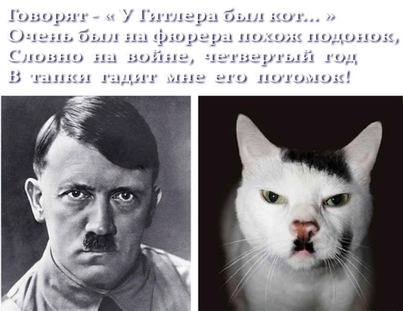 Гитлер приколы