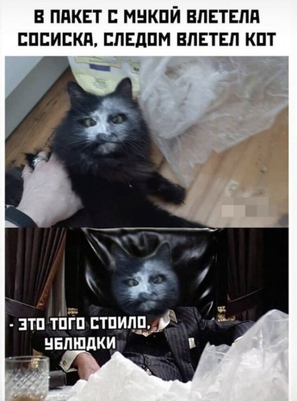 Шутки и мемы из сети