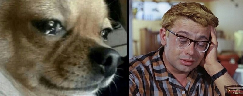 Шурик птичку жалко Шурик