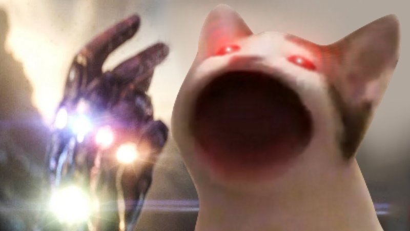 Поп кот с открытым ртом