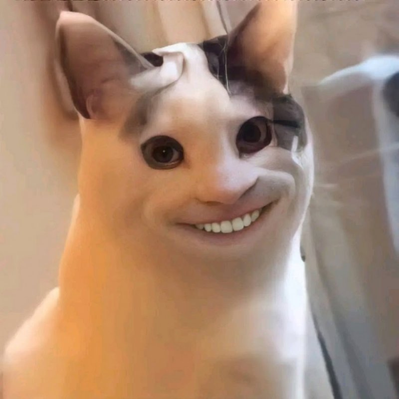 Кот с человеческой улыбкой