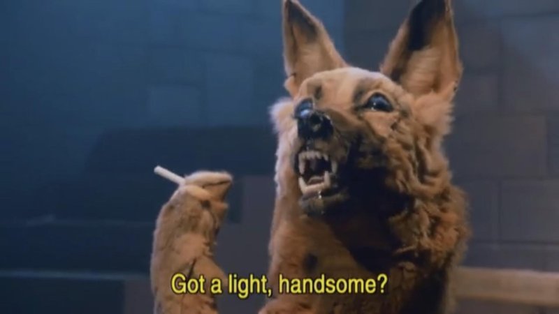 Собака с сигаретой Мем