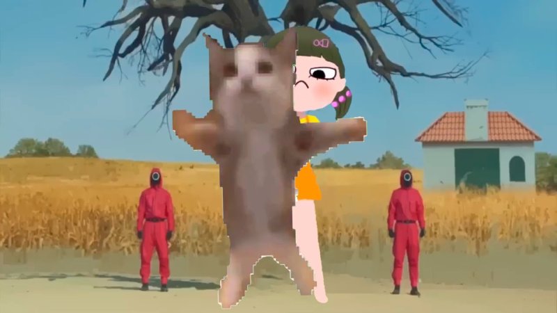 ШНИ шна шнапи шнапи шнапи шнап кот