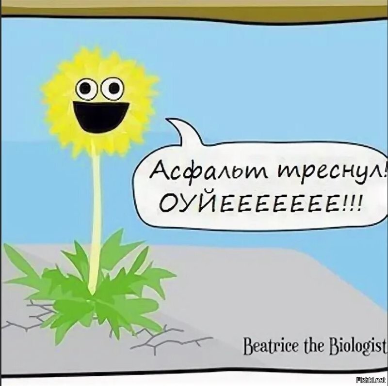 Шутки про одуванчики