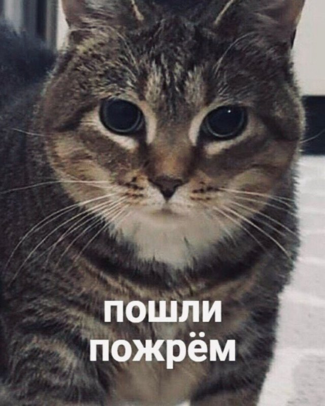 Пошли пожрем