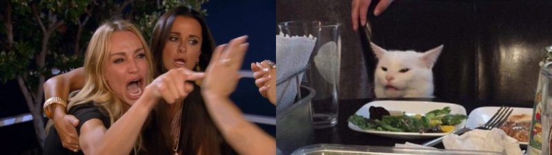 Девушка с котом за столом