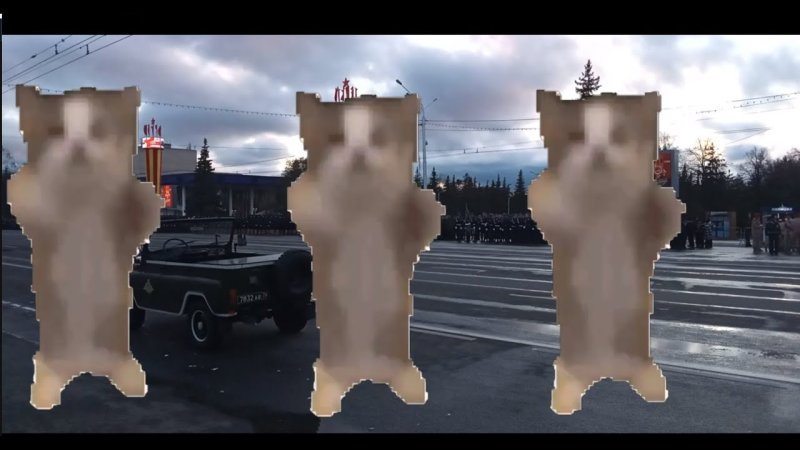 ШНИ шна шнапи шнапи шнапи шнап кот Мем