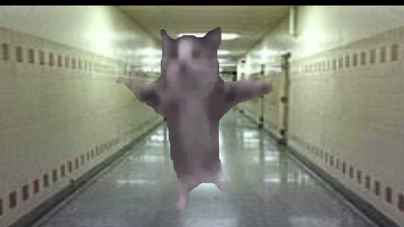 Мем с котом Шнип шнап