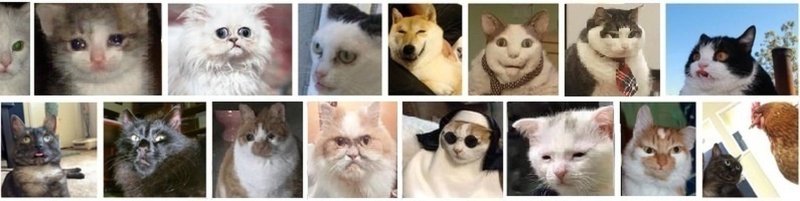 Мемчики с котами