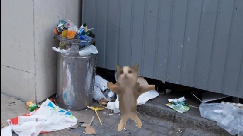 ШНИ шна шнапи кот