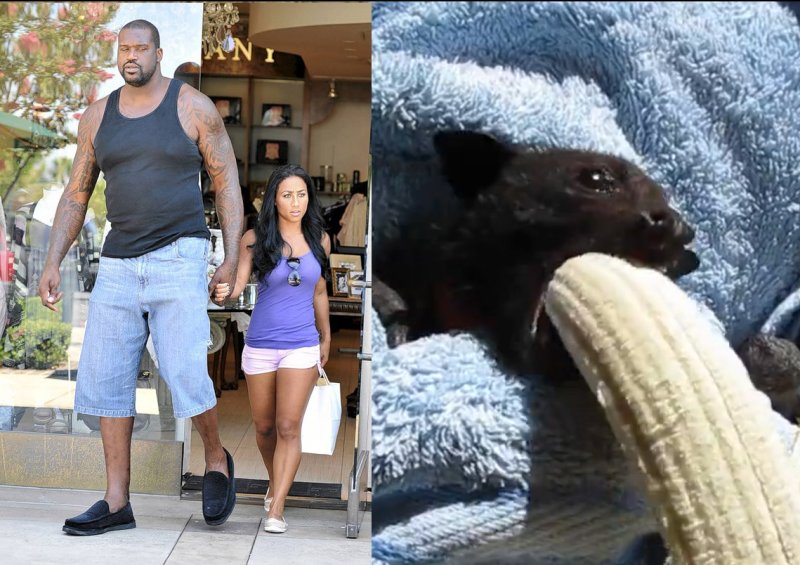 Шакил о Нил с женой