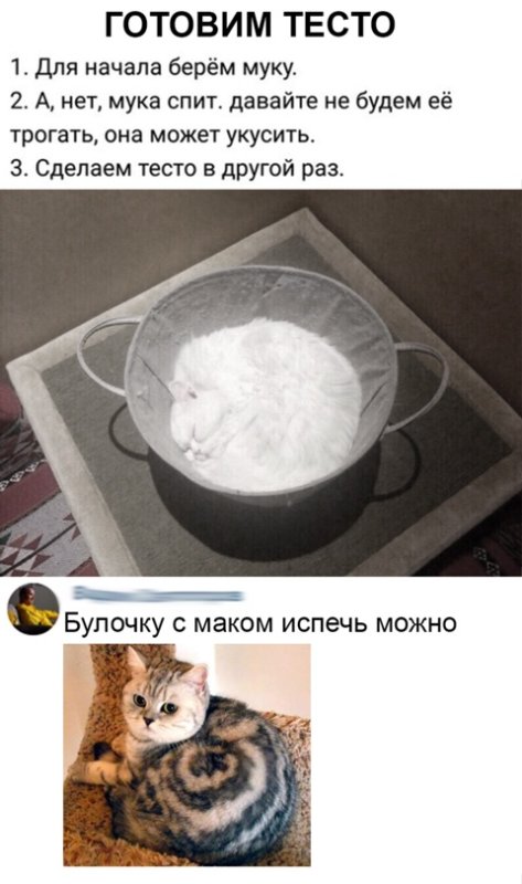 Кот в муке