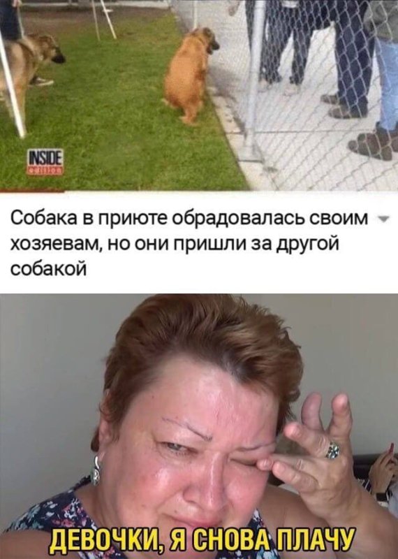 Собачку жалко Мем
