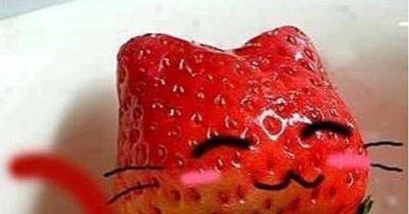 Мемы кот и клубника